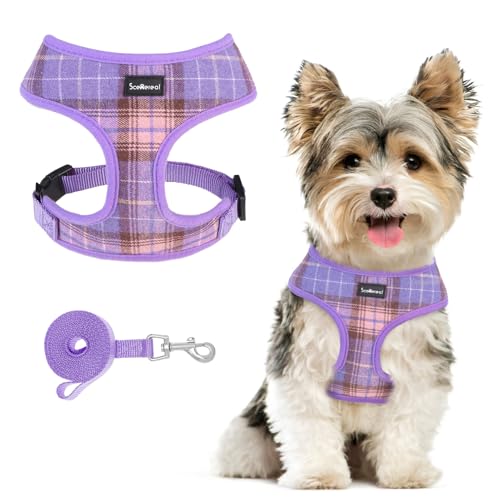 SCENEREAL Welpen-Hundegeschirr mit Leine, Set für kleine und mittelgroße Hunde, weiches Netzgewebe, Haustiergeschirre und Leine, kein Würgen, kariert, verstellbar, kein Ziehen, Weste für Hunde, SCENEREAL Welpen-Hundegeschirr mit Leine, Set für kleine und mittelgroße Hunde, weiches Netzgewebe, Haustiergeschirre und Leine, kein Würgen, kariert, verstellbar, kein Ziehen, Weste für Hunde, von SCENEREAL
