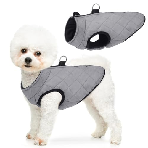 SCENEREAL Winter-Hundeweste mit integriertem Geschirr, warme Hundejacke für kleine und mittelgroße Hunde, kaltes Wetter, Mantel mit Reißverschluss, Fleece-Pufferweste, winddichte Schneekleidung für SCENEREAL Winter-Hundeweste mit integriertem Geschirr, warme Hundejacke für kleine und mittelgroße Hunde, kaltes Wetter, Mantel mit Reißverschluss, Fleece-Pufferweste, winddichte Schneekleidung für von SCENEREAL