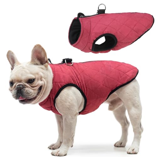 SCENEREAL Winter-Hundeweste mit integriertem Geschirr, warme Welpenjacke für kleine und mittelgroße Hunde, kaltes Wetter, Mantel mit Reißverschluss, Fleece-Pufferweste, winddichte Schneekleidung von SCENEREAL