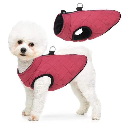 SCENEREAL Winter-Hundeweste mit integriertem Geschirr, warme Welpenjacke für kleine bis mittelgroße Hunde, Kaltwettermantel mit Reißverschluss, Fleece-Pufferweste, winddichte Schneekleidung von SCENEREAL