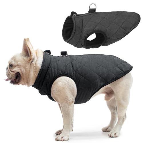 SCENEREAL Winter-Hundeweste mit integriertem Geschirr, warme Welpenjacke für kleine und mittelgroße Hunde, kaltes Wetter, Mantel mit Reißverschluss, Fleece-Pufferweste, winddichte Schneekleidung SCENEREAL Winter-Hundeweste mit integriertem Geschirr, warme Welpenjacke für kleine und mittelgroße Hunde, kaltes Wetter, Mantel mit Reißverschluss, Fleece-Pufferweste, winddichte Schneekleidung von SCENEREAL