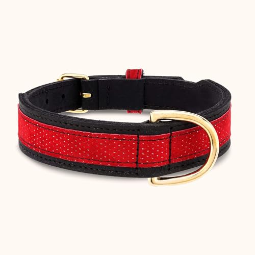 Schaetzlein´s Hundehalsband Chizzola aus Leder - L-XXL - Rot, Schwarz - Sehr leicht - Anschmiegsam - Temperaturregulierend (XL) von SCHAETZLEIN'S