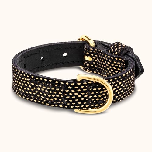 Schaetzlein´s Hundehalsband Malgolo aus Leder - XXS - Schwarz, Gold - extrem leicht - anschmiegsam - temperaturregulierend von SCHAETZLEIN'S