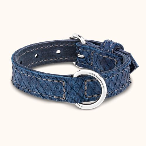 Schaetzlein´s Hundehalsband Miramare aus Leder - XXS - Blau - Extrem leicht - anschmiegsam - temperaturregulierend von SCHAETZLEIN'S