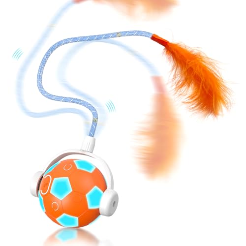 Elektrisches Katzenballspielzeug, 5,2 cm, automatisches, interaktives Katzenspielzeug mit 3 Modi, leiser ABS- und Silikon-LED-Ball für Indoor-Katzen, wiederaufladbares intelligentes Spielzeug für Elektrisches Katzenballspielzeug, 5,2 cm, automatisches, interaktives Katzenspielzeug mit 3 Modi, leiser ABS- und Silikon-LED-Ball für Indoor-Katzen, wiederaufladbares intelligentes Spielzeug für von SCHITEC