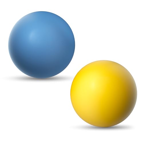 SCHITEC Hundebälle unzerstörbar, [2 Stück] Vollgummi-Hüpfball für Aggressive Kauer, langlebiges Kauspielzeug für mittelgroße Hunde von SCHITEC