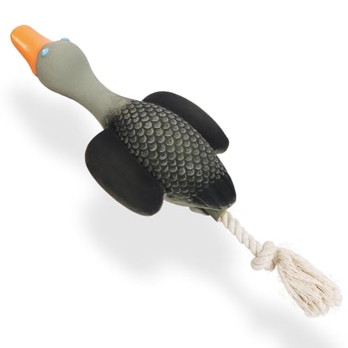 SCHITEC Quietschendes Hundespielzeug, Quietschendes Latexspielzeug mit Seil, interaktives Tauziehen Wildente für mittelgroße kleine Hunde SCHITEC Quietschendes Hundespielzeug, Quietschendes Latexspielzeug mit Seil, interaktives Tauziehen Wildente für mittelgroße kleine Hunde von SCHITEC