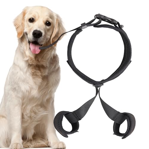 Hunde-Hilfsgürtel, Haustier-Korrekturhilfe, atmungsaktive Hüftgurt-Hebestütze, Haustier-Hunde-Hilfsgürtel, Hüftgelenk-Rehabilitations-Trainings-Hilfsgürtel, Hundezubehör-Hilfsgeschirr für Zuhause, Spa von SCOOVY