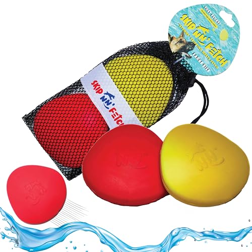 Parent Group – Skip NN' Fetch schwimmendes Hundespielzeug, 2 Stück, mittelgroße und große Hunde, Größe L Parent Group – Skip NN' Fetch schwimmendes Hundespielzeug, 2 Stück, mittelgroße und große Hunde, Größe L von SCORE NN'