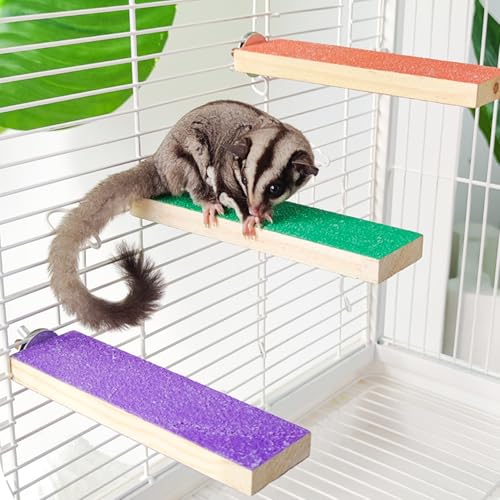 Sugar Glider Spielzeug Käfigstufen – Kleintier-Kletterstufen, Schärfen der Krallen, Zuckergleiter, Anreicherungsspielzeug, Kratzpapier, für Käfige (Orange + Lila + Grün) von SCSFCVIUS