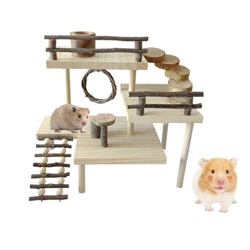 SCUDGOOD Hamster Nager Spielzeug Rennmäuse Plattform Training Haustier Leiter Haus Für Frettchen Meerschweinchen Spielzeug Haus Gym Spielzeug Hamster Set von SCUDGOOD