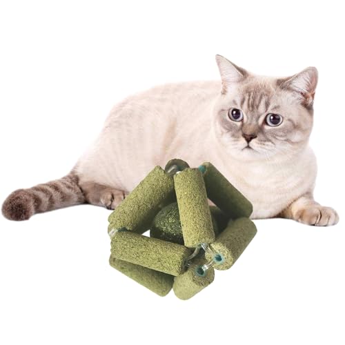SCUDGOOD Natürliches Katzenminz-Ball-Spielzeug zum Lecken von Minze für Haustier-Kauspielzeug, Beißball für Unterhaltung, Minze SCUDGOOD Natürliches Katzenminz-Ball-Spielzeug zum Lecken von Minze für Haustier-Kauspielzeug, Beißball für Unterhaltung, Minze von SCUDGOOD