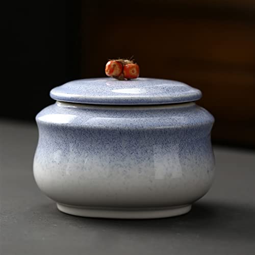 SCZMBLTLNV Urne Für Haustiere Pet Urn for Dogs Cats Ashes Keepsake Memorial Box Funeral Set Burial Urns for Cremated Remains Ash Vial Adult Funeral Urn Pet Cat and Dog Urn 13414(Blue) von SCZMBLTLNV