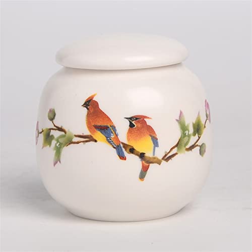 SCZMBLTLNV Urne Für Haustiere Pet Urn for Dogs Cats Ashes Keepsake Memorial Box Funeral Set Burial Urns for Cremated Remains Ash Vial Adult Funeral Urn Pet Cat and Dog Urn 1750(G) von SCZMBLTLNV