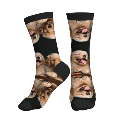 Golden Retriever Sportsocke für Hunde, Welpen, Haustiere, bedruckt, mittlere Röhre, Feuchtigkeitstransport, rutschfest, ideale Socken zum Laufen, Wandern und für den Herbst von SDEGTHO