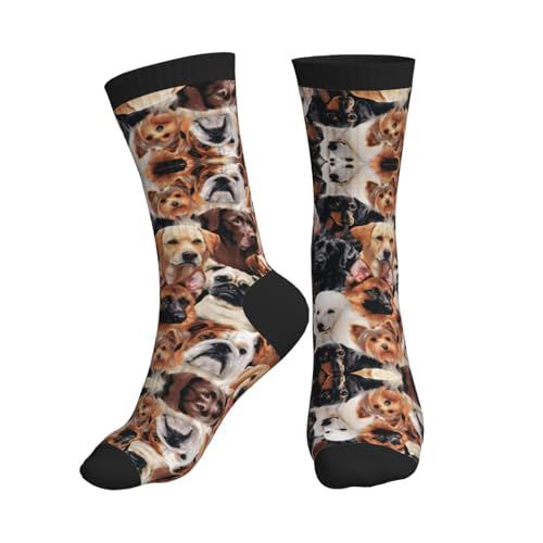 Sportsocken mit vielen Hunden, feuchtigkeitsableitend, rutschfest, ideale Socken zum Laufen, Wandern und Herbst von SDEGTHO