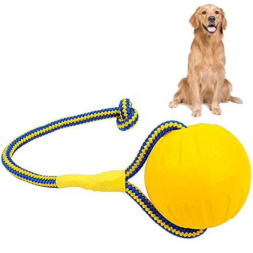 Interaktives Hundeballspielzeug, Hundetraining Ball, Ball mit Seil Naturkautschuk, Haustier Hund Trainingsball, Hundeball, Hundeball im Freien, für Kleine Große Hunde, Hundezahnpflege Reinigungszähn von SDFF