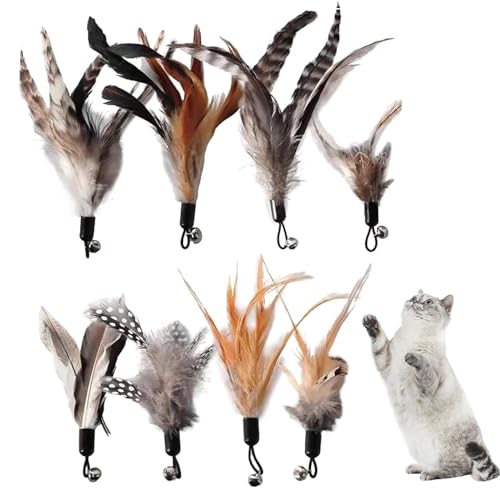 SDFLKAE 8 Stück Cat Feather Toys Ersatz - Katzen Federspielzeug für Katzen ohne chemische Farbstoffe – inklusive Nachfüllungen für natürliche Katzenfedern SDFLKAE 8 Stück Cat Feather Toys Ersatz - Katzen Federspielzeug für Katzen ohne chemische Farbstoffe – inklusive Nachfüllungen für natürliche Katzenfedern von SDFLKAE