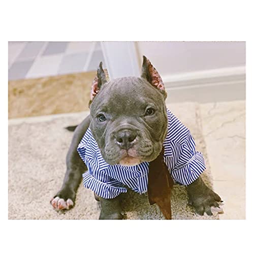 SDLSH Hundebekleidung für Haustiere Haustierhundhemd,Frühling Sommerkleidung,kleine mittelgroße Hunde Mantel Bequemes, leicht zu tragendes Gehen (Color : Blue, Größe : XL) von SDLSH
