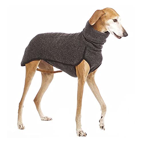 SDLSH Hundebekleidung für Haustiere Haustierkleidung, mittlerer und großer Hundemantel, geeignet für große Hunde Bequemes, leicht zu tragendes Gehen (Color : Dark Gray, Größe : 4XL) von SDLSH