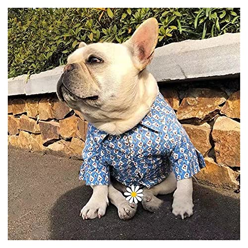 SDLSH Hundebekleidung für Haustiere Hund,Frühling Hemd Kleidung,kleine mittlere Welpenhunde Kleidung Mantel Bequemes, leicht zu tragendes Gehen (Color : Blue, Größe : M) von SDLSH