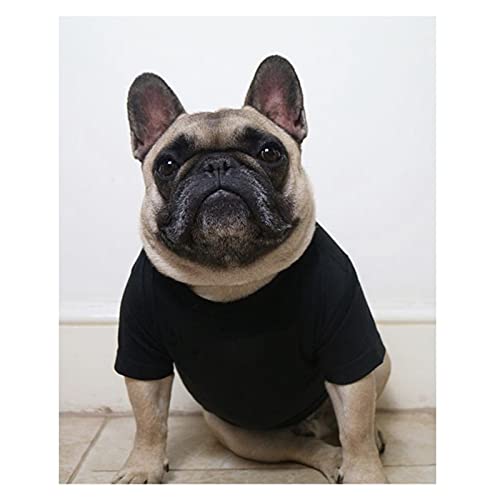 SDLSH Hundebekleidung für Haustiere Hund,Sommer T-Shirt Weste,Kleidung Kleidung für kleine Hunde Bequemes, leicht zu tragendes Gehen (Color : Black, Größe : XL) von SDLSH