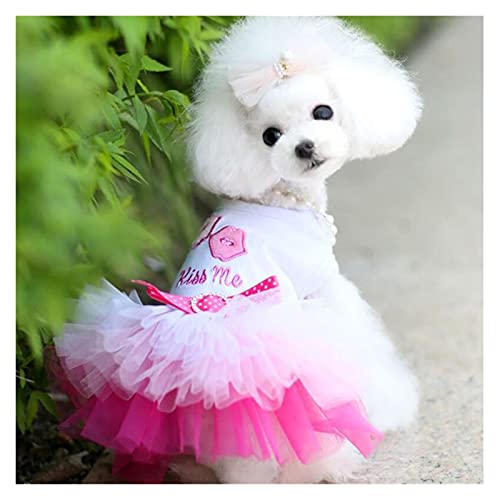 SDLSH Hundebekleidung für Haustiere Kleidung Kleidung,Welpenkleid Sommerkleid,Frontsaal Maskottchen Bequemes, leicht zu tragendes Gehen (Color : A, Größe : XXL) von SDLSH