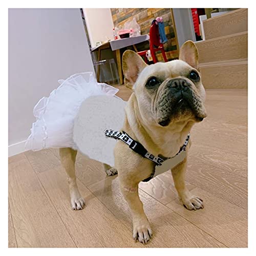SDLSH Hundebekleidung für Haustiere Prinzessin Stil Haustierhund,Welpen Jean Kleid Kleidung für kleine mittlere Hunde Bequemes, leicht zu tragendes Gehen (Color : A, Größe : M) von SDLSH