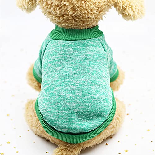 SDLSH Hundebekleidung für Haustiere Tierbedarf,Kleidung Haustiere,Bulldogge Engler Kleidung Bequemes, leicht zu tragendes Gehen (Color : K, Größe : XXL) von SDLSH