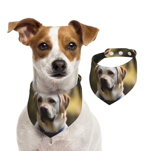 Hunde-Halstuch, Labrador, verstellbar, waschbar, doppelseitig, Haustier-Halstuch, Baumwolle, Dreieck-Lätzchen, Hunde-Schals, Katzen, Schals für Welpen, Kostüm, Zubehör, Größe M Hunde-Halstuch, Labrador, verstellbar, waschbar, doppelseitig, Haustier-Halstuch, Baumwolle, Dreieck-Lätzchen, Hunde-Schals, Katzen, Schals für Welpen, Kostüm, Zubehör, Größe M von SDTYKHJ