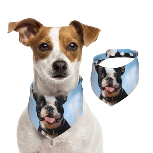 Hunde-Halstuch, niedlicher Boston Terrier, Haustier-Schal, verstellbar, waschbar, doppelseitig, Haustier-Halstuch, Baumwolle, Dreieck-Lätzchen, Hunde-Schals, Katzenschals für Welpen, Kostüm-Zubehör von SDTYKHJ