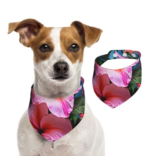 Hundehalstuch, Blume, tropische Pflanze, Haustier-Schal, verstellbar, waschbar, doppelseitig, Haustier-Halstuch, Baumwolle, Dreieck-Lätzchen, Hunde-Schals, Katzen, Schals für Welpen, Kostüm, Zubehör Hundehalstuch, Blume, tropische Pflanze, Haustier-Schal, verstellbar, waschbar, doppelseitig, Haustier-Halstuch, Baumwolle, Dreieck-Lätzchen, Hunde-Schals, Katzen, Schals für Welpen, Kostüm, Zubehör von SDTYKHJ