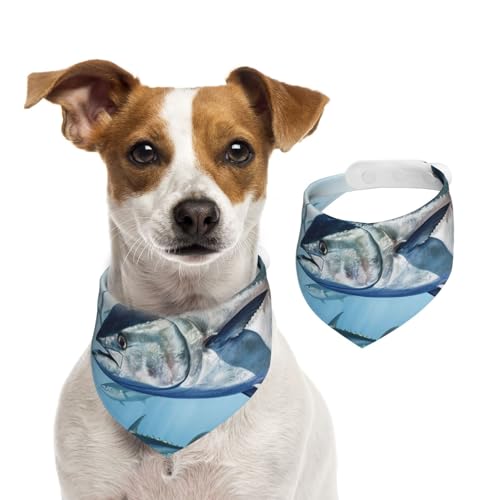 Hundehalstuch, Motiv: Blauflossen, Thunfisch, Thunnus, Haustier-Schal, verstellbar, waschbar, doppelseitig, Haustier-Halstuch, Baumwolle, Dreieckslätzchen, Hundeschals, Katzenschals für Welpen Hundehalstuch, Motiv: Blauflossen, Thunfisch, Thunnus, Haustier-Schal, verstellbar, waschbar, doppelseitig, Haustier-Halstuch, Baumwolle, Dreieckslätzchen, Hundeschals, Katzenschals für Welpen von SDTYKHJ