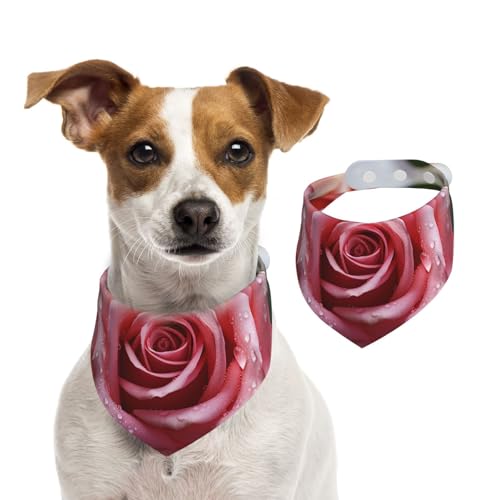Hundehalstuch, Motiv: Liebe, Rose, Blütenblatt, Haustier-Schal, verstellbar, waschbar, doppelseitig, Haustier-Halstuch, Baumwolle, Dreieck-Lätzchen, Hunde-Schals, Katzenschals für Welpen von SDTYKHJ