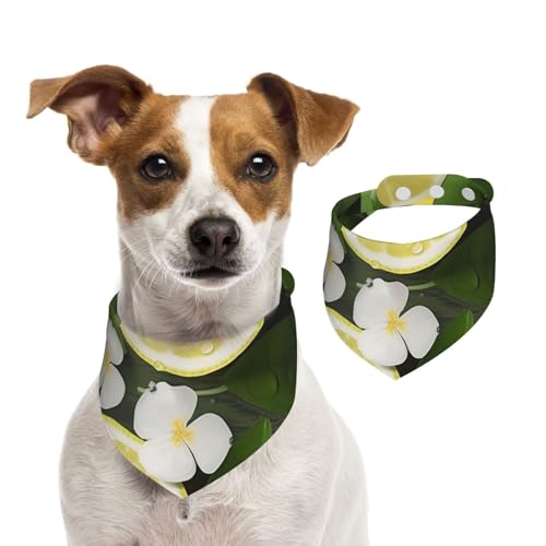 Hundehalstuch, Motiv: frische Zitrone, verstellbar, waschbar, doppelseitig, Haustier-Halstuch, Baumwolle, Dreieck-Lätzchen, Hunde-Schals, Katzenschals für Welpen, Kostüm-Zubehör, Größe M von SDTYKHJ