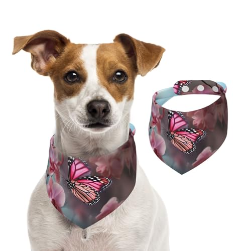 Hundehalstuch, Orchidee, Blume, Schmetterling, Frühling, Haustier-Schal, verstellbar, waschbar, doppelseitig, Haustier-Halstuch, Baumwolle, Dreieck-Lätzchen, Hunde-Schals, Katzenschals für Welpen Hundehalstuch, Orchidee, Blume, Schmetterling, Frühling, Haustier-Schal, verstellbar, waschbar, doppelseitig, Haustier-Halstuch, Baumwolle, Dreieck-Lätzchen, Hunde-Schals, Katzenschals für Welpen von SDTYKHJ