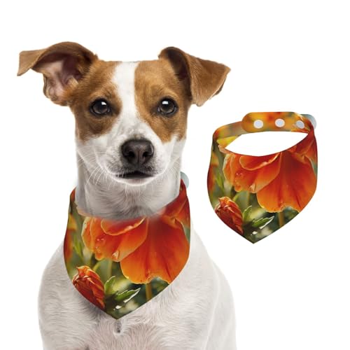 Hundehalstuch, Ringelblume, Blume, Herbstblumen, Haustier-Schal, verstellbar, waschbar, doppelseitig, Haustier-Halstuch, Baumwolle, Dreieck-Lätzchen, Hunde-Schals, Katzenschals für Welpen Hundehalstuch, Ringelblume, Blume, Herbstblumen, Haustier-Schal, verstellbar, waschbar, doppelseitig, Haustier-Halstuch, Baumwolle, Dreieck-Lätzchen, Hunde-Schals, Katzenschals für Welpen von SDTYKHJ