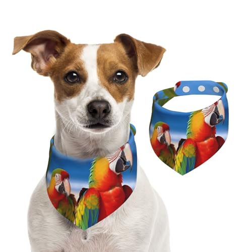 Hundehalstuch, Strandtuch, Papageien, Haustier-Schal, verstellbar, waschbar, doppelseitig, Haustier-Halstuch, Baumwolle, Dreieck-Lätzchen, Hunde-Schals, Katzenschals für Welpen, Kostüm-Zubehör, Größe Hundehalstuch, Strandtuch, Papageien, Haustier-Schal, verstellbar, waschbar, doppelseitig, Haustier-Halstuch, Baumwolle, Dreieck-Lätzchen, Hunde-Schals, Katzenschals für Welpen, Kostüm-Zubehör, Größe von SDTYKHJ