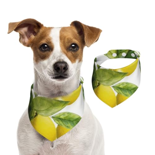 Hundehalstuch, Zitronenzweig, Blätter, Haustier-Schal, verstellbar, waschbar, doppelseitig, Haustier-Halstuch, Baumwolle, Dreieck-Lätzchen, Hunde-Schals, Katzenschals für Welpen, Kostüm-Zubehör, Größe Hundehalstuch, Zitronenzweig, Blätter, Haustier-Schal, verstellbar, waschbar, doppelseitig, Haustier-Halstuch, Baumwolle, Dreieck-Lätzchen, Hunde-Schals, Katzenschals für Welpen, Kostüm-Zubehör, Größe von SDTYKHJ