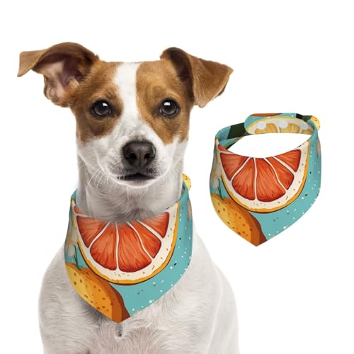 Hundehalstuch, Zitrusfrüchte, Malerei, Haustier-Schal, verstellbar, waschbar, doppelseitig, Haustier-Halstuch, Baumwolle, Dreieck-Lätzchen, Hunde-Schals, Katzenschals für Welpen, Kostüm-Zubehör, klein Hundehalstuch, Zitrusfrüchte, Malerei, Haustier-Schal, verstellbar, waschbar, doppelseitig, Haustier-Halstuch, Baumwolle, Dreieck-Lätzchen, Hunde-Schals, Katzenschals für Welpen, Kostüm-Zubehör, klein von SDTYKHJ