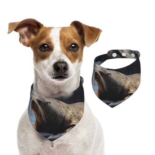 Hundehalstuch, braunes Siegel auf dem Felsen, Haustier-Schal, verstellbar, waschbar, doppelseitig, Haustier-Halstuch, Baumwolle, Dreieck-Lätzchen, Hundeschals, Katzenschals für Welpen, Kostüm-Zubehör Hundehalstuch, braunes Siegel auf dem Felsen, Haustier-Schal, verstellbar, waschbar, doppelseitig, Haustier-Halstuch, Baumwolle, Dreieck-Lätzchen, Hundeschals, Katzenschals für Welpen, Kostüm-Zubehör von SDTYKHJ