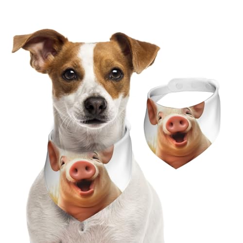 Hundehalstuch, lächelndes Haustier, verstellbar, waschbar, doppelseitig, Haustier-Halstuch, Baumwolle, Dreieck-Lätzchen, Hunde-Schals, Katzenschals für Welpen, Kostüm-Zubehör, Größe M von SDTYKHJ