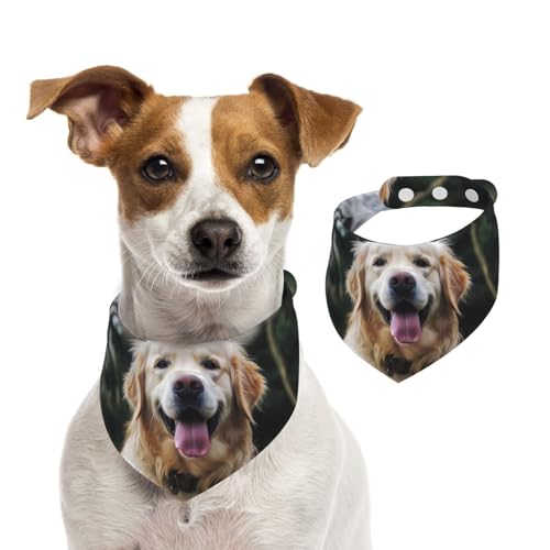 Hundehalstuch, lustig, Golden Retriever, Haustier-Schal, verstellbar, waschbar, doppelseitig, Haustier-Halstuch, Baumwolle, Dreieck-Lätzchen, Hunde-Schals, Katzen, Schals für Welpen, Kostüm-Zubehör Hundehalstuch, lustig, Golden Retriever, Haustier-Schal, verstellbar, waschbar, doppelseitig, Haustier-Halstuch, Baumwolle, Dreieck-Lätzchen, Hunde-Schals, Katzen, Schals für Welpen, Kostüm-Zubehör von SDTYKHJ