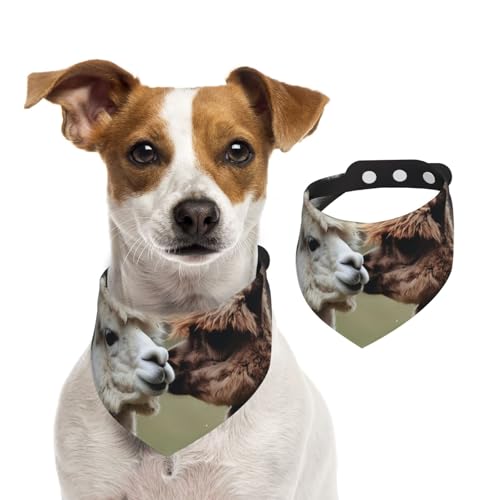 Hundehalstuch, lustiger Alpaka-Haustier-Schal, verstellbar, waschbar, doppelseitig, Haustier-Halstuch, Baumwolle, Dreieck-Lätzchen, Hunde-Schals, Katzen, Schals für Welpen, Kostüm, Zubehör, klein Hundehalstuch, lustiger Alpaka-Haustier-Schal, verstellbar, waschbar, doppelseitig, Haustier-Halstuch, Baumwolle, Dreieck-Lätzchen, Hunde-Schals, Katzen, Schals für Welpen, Kostüm, Zubehör, klein von SDTYKHJ