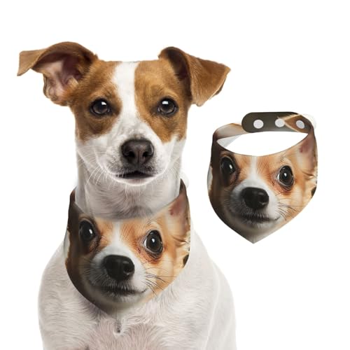 Hundehalstuch, niedlicher Chihuahua-Haustier-Schal, verstellbar, waschbar, doppelseitig, Haustier-Halstuch, Baumwolle, Dreieck-Lätzchen, Hunde-Schals, Katzenschals für Welpen, Kostüm-Zubehör, Größe L Hundehalstuch, niedlicher Chihuahua-Haustier-Schal, verstellbar, waschbar, doppelseitig, Haustier-Halstuch, Baumwolle, Dreieck-Lätzchen, Hunde-Schals, Katzenschals für Welpen, Kostüm-Zubehör, Größe L von SDTYKHJ