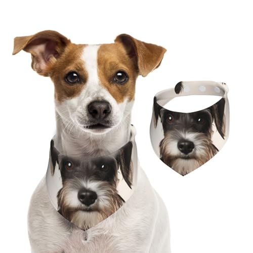 Hundehalstuch, niedlicher Schnauzer, Haustier-Schal, verstellbar, waschbar, doppelseitig, Haustier-Halstuch, Baumwolle, Dreieck-Lätzchen, Hunde-Schals, Katzen, Schals für Welpen, Kostüm-Zubehör, Größe Hundehalstuch, niedlicher Schnauzer, Haustier-Schal, verstellbar, waschbar, doppelseitig, Haustier-Halstuch, Baumwolle, Dreieck-Lätzchen, Hunde-Schals, Katzen, Schals für Welpen, Kostüm-Zubehör, Größe von SDTYKHJ
