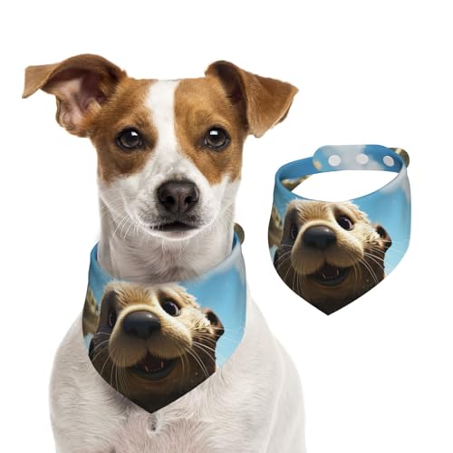Hundehalstuch, niedliches Seeotter-Haustier-Schal, verstellbar, waschbar, doppelseitig, Haustier-Halstuch, Baumwolle, Dreieck-Lätzchen, Hunde-Schals, Katzenschals für Welpen, Kostüm-Zubehör, Größe S Hundehalstuch, niedliches Seeotter-Haustier-Schal, verstellbar, waschbar, doppelseitig, Haustier-Halstuch, Baumwolle, Dreieck-Lätzchen, Hunde-Schals, Katzenschals für Welpen, Kostüm-Zubehör, Größe S von SDTYKHJ