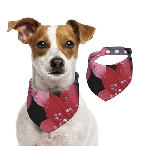 Hundehalstuch, schwarz, Blume, Haustier-Schal, verstellbar, waschbar, doppelseitig, Haustier-Halstuch, Baumwolle, Dreieck-Lätzchen, Hunde-Schals, Katzen, Schals für Welpen, Kostüm, Zubehör, Größe S Hundehalstuch, schwarz, Blume, Haustier-Schal, verstellbar, waschbar, doppelseitig, Haustier-Halstuch, Baumwolle, Dreieck-Lätzchen, Hunde-Schals, Katzen, Schals für Welpen, Kostüm, Zubehör, Größe S von SDTYKHJ