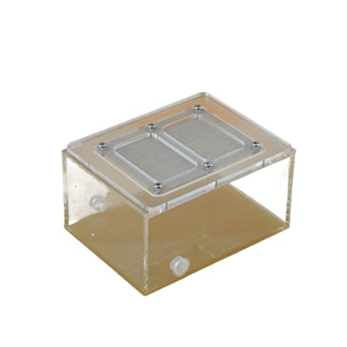 Reptilienfutter-Terrarium Box Schildkröte Eidechse Futterbox Acryl mit Deckel Futterbox Spinnenbox Reptilienbox Ameisennest Ameisenfütterung Insektenfutterbox Tierlebensraum Käfig von SDVantage