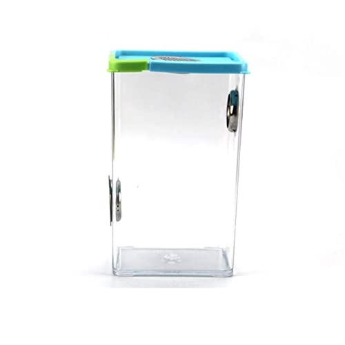 SDVantage Acryl Insektenterrarium Spinne Skorpion Reptilien Lebensraum Metall Belüftung Bunt Transparent Futterkäfig Wohnen Körper Ökologie Haustier Haus Vivarium SDVantage Acryl Insektenterrarium Spinne Skorpion Reptilien Lebensraum Metall Belüftung Bunt Transparent Futterkäfig Wohnen Körper Ökologie Haustier Haus Vivarium von SDVantage